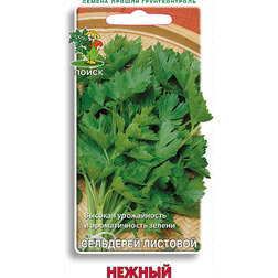 ������ ������ ��������� �������� ������   ����