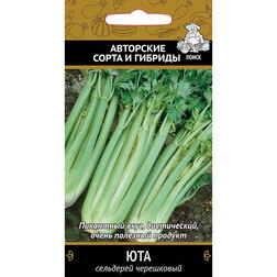 ������ ������ ��������� ���������� ���   ����