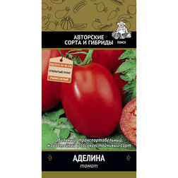 ������ ������ ����� �������   ����