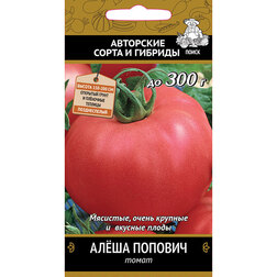 ������ ������ ����� ���� �������   ����