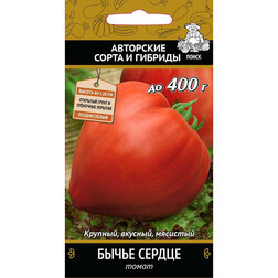 ������ ������ ����� ����� ������   ����