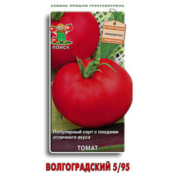 ������ ������ ����� ������������� 5/95   ����