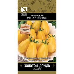 ������ ������ ����� ������� �����   ����