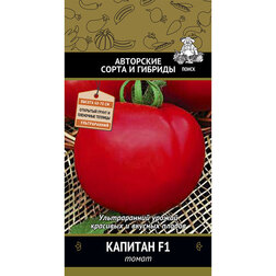 ������ ������ ����� ������� F1   ����