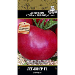 ������ ������ ����� �������� F1   ����