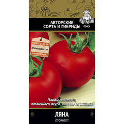 ������ ������ ����� ����   ����