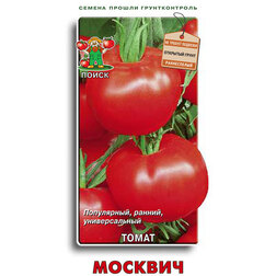 ������ ������ ����� �������   ����