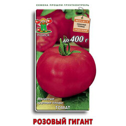 ������ ������ ����� ������� ������   ����