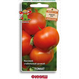 ������ ������ ����� �����   ����