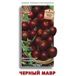 ������ ������ ����� ������ ����   ����