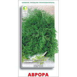 ������ ������ ����� ������   ����