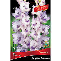 ������ ������ �������� ���������� ������� ������� (5 ��.)   ����