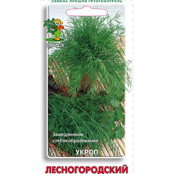 ������ ������ ����� ��������������   ����