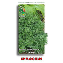 ������ ������ ������ ������ ��������   ����