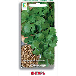 ������ ������ �������� ������   ����