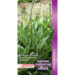 ������ ������ ���������� �������������� ������   ����