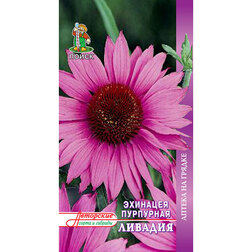 ������ ������ �������� ��������� �������   ����