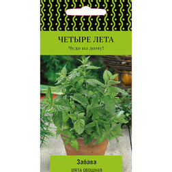 ������ ������ ���� ������� ������ (������ ����)   ����