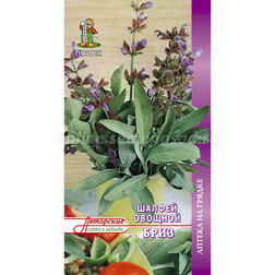 ������ ������ ������ ������� ����   ����