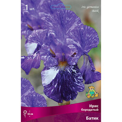 ������ ������ ���� ��������� �����   ����