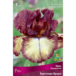 ������ ������ ���� ��������� �������� �����   ����