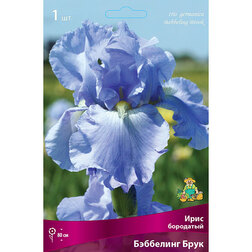 ������ ������ ���� ��������� �������� ����   ����