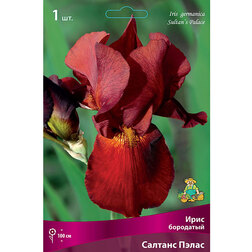 ������ ������ ���� ��������� ������� �����   ����