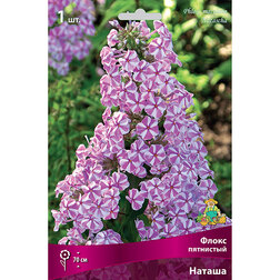 ������ ������ ����������� ����� ��������� ������   ����