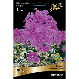 ������ ������ ����� ����������� �������   ����