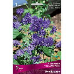 ������ ������ ��������� ������ ������� ������ ���   ����