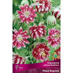 ������ ������ ��������� ������ ������� ���� ������   ����