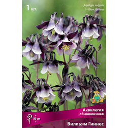 ������ ������ ��������� ������������ ������� ������   ����