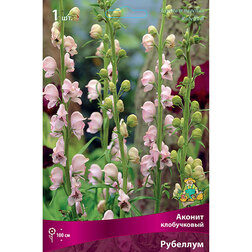 ������ ������ ������ ����������� ��������   ����