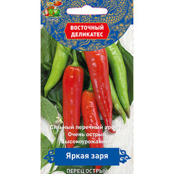 ������ ������ ����� ������ ����� ����(��������� ���������)   ����