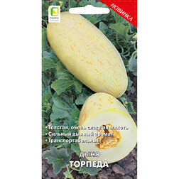 ������ ������ ���� �������   ����