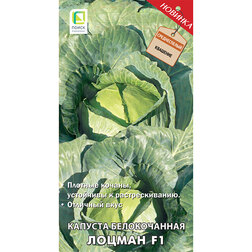 ������ ������ ������� ������������ ������ F1   ����