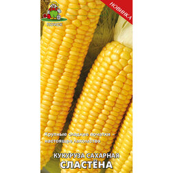 ������ ������ �������� �������� �������   ����