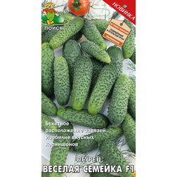 ������ ������ ������ ������� ������� F1   ����