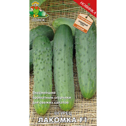 ������ ������ ������ ������� F1   ����