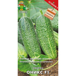 ������ ������ ������ ����� F1   ����