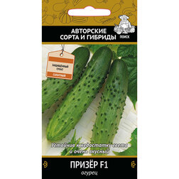 ������ ������ ������ ����� F1 (���� ������. �� ����� 2024 �)   ����