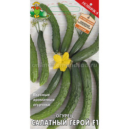 ������ ������ ������ �������� ����� F1   ����