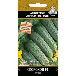 ������ ������ ������ �������� F1   ����