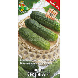 ������ ������ ������ ������� F1   ����