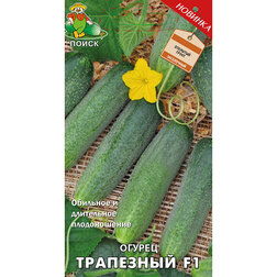 ������ ������ ������ ��������� F1   ����