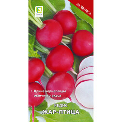 ������ ������ ����� ���-�����   ����