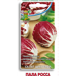 ������ ������ ����� �������� ���� �����   ����