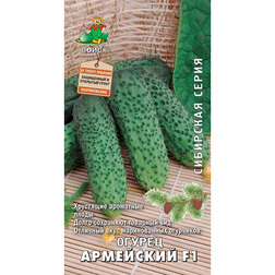 ������ ������ ������ ��������� F1 (��������� �����)   ����