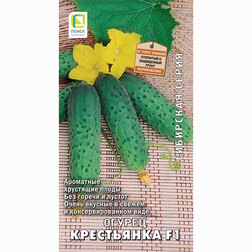 ������ ������ ������ ���������� F1 (��������� �����)   ����