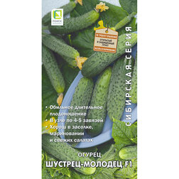 ������ ������ ������ �������-������� F1 (��������� �����)   ����